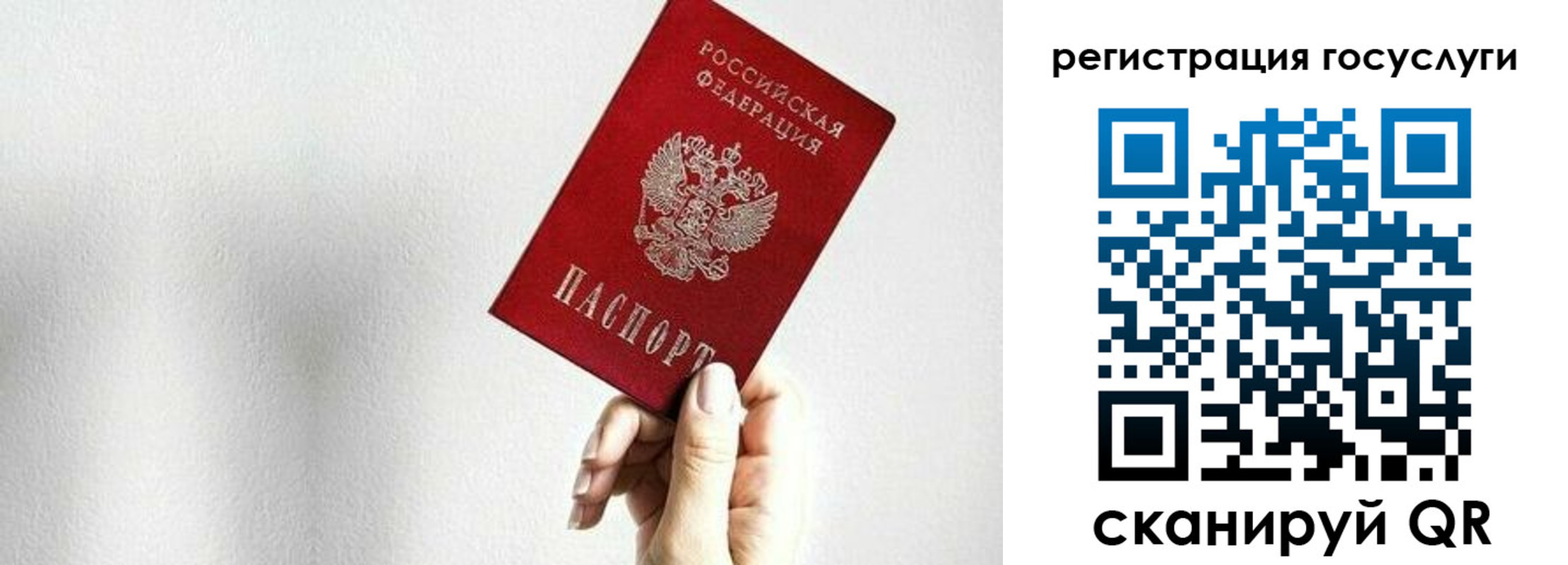 прописка гарантия в Петушках